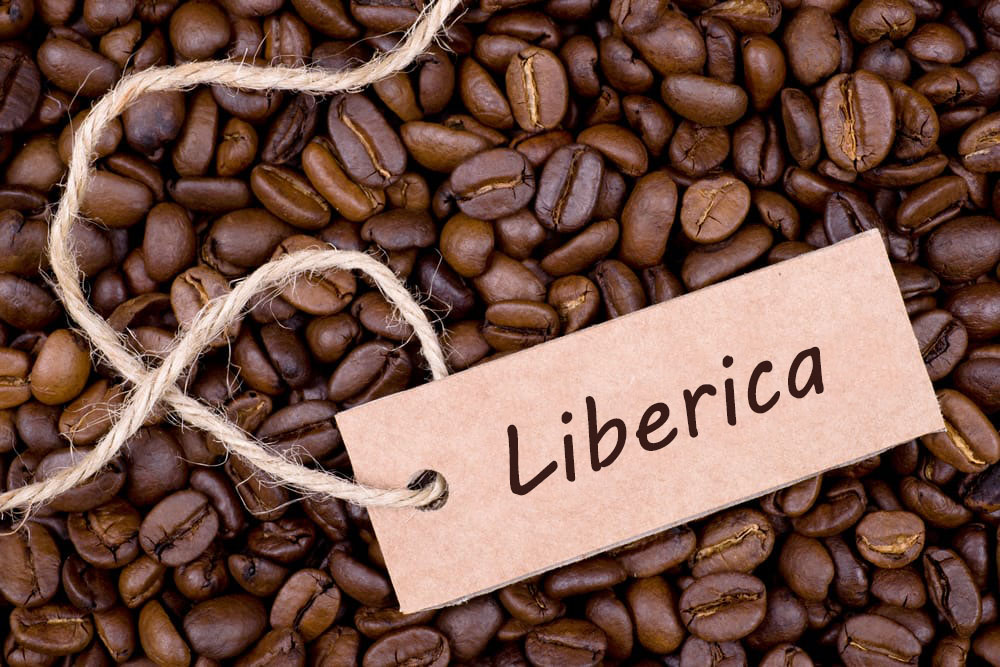 قهوه-لیبریکا